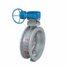 special butterfly valve